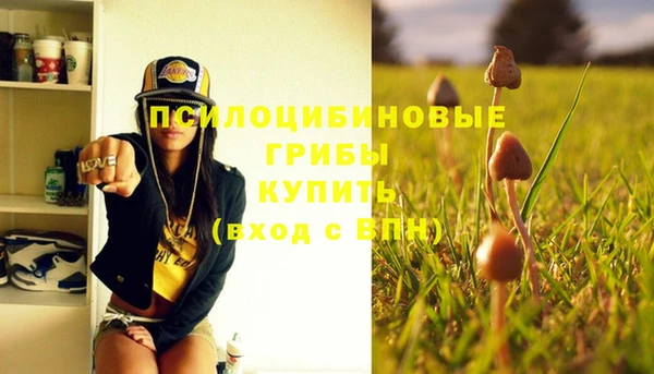 mdma Пролетарск