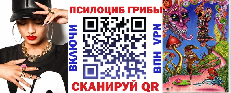 Псилоцибиновые грибы Psilocybe  Аша 