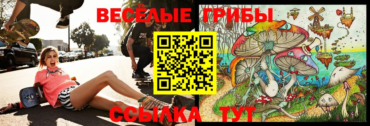 Аша  Галлюциногенные грибы ЛСД  Галлюциногенные грибы Cubensis  Вход с VPN 