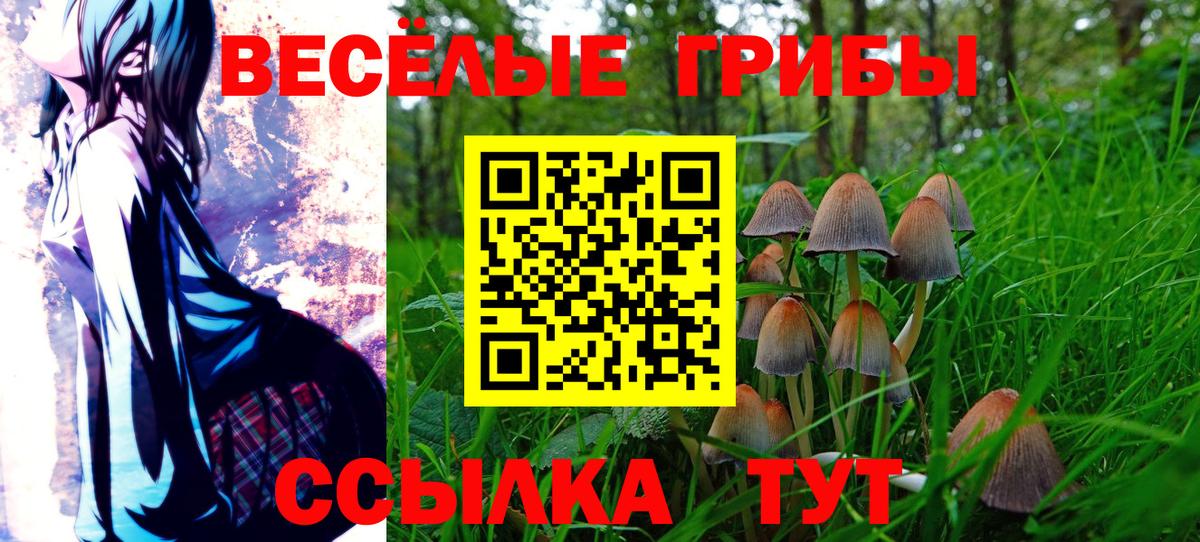 Псилоцибиновые грибы Psilocybe Аша