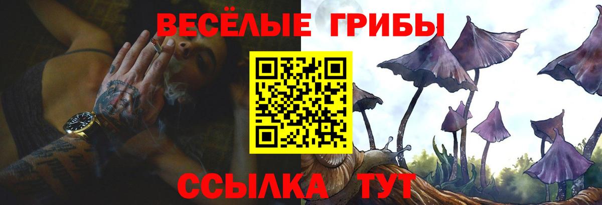 Псилоцибиновые грибы мухоморы Аша